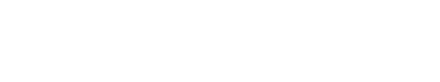 Auto Tempest Logo
